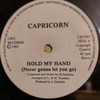 Capricorn - Hold My Hand (Never Gonna Let You Go)