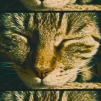 Zitemer - Drowsiness
