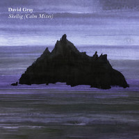 David Gray - Skellig (Calm Mixes)