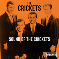 The Crickets - Sound Of The Crickets