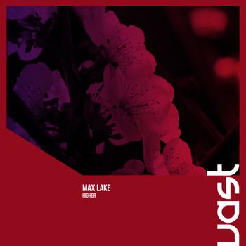 Max Lake - Higher