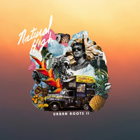 Natural High Music - Urban Roots II (Explicit)