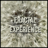 Fractal Experience - Fractal Experience