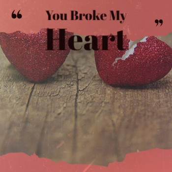 Various Artist - You Broke My Heart