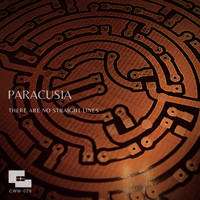 Paracusia - There are no straight lines