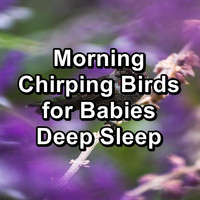 Sleep - Morning Chirping Birds for Babies Deep Sleep