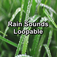Lightning Thunder and Rain Storm - Rain Sounds Loopable
