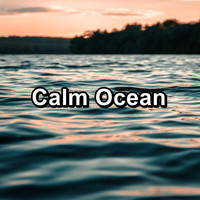 Sleep Waves - Calm Ocean