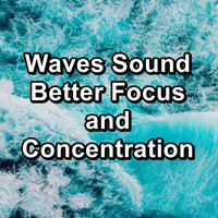 Yoga & Meditation - Waves Sound Better Focus and Concentration