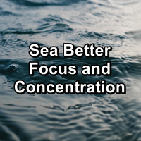 Studying Music - Sea Better Focus and Concentration