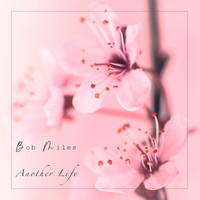 Bob Miles - Another Life