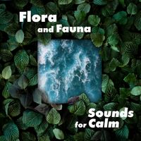 Rest & Relax Nature Sounds Artists - Flora and Fauna Sounds for Calm – 1 Hour of Soothing Natural Melodies for Total Relaxation, Water, Animals, Rain, Ocean, Lake, Wind