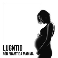Helande Instrumentalmusik Akademi - Lugntid för framtida mamma: New age musik för gravida kvinnor