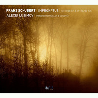 Alexei Lubimov - Schubert: Impromptus, Op. 90 D. 899 & Op. 142 D. 935