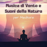 Spirito Libero - Musica di vento e suoni della natura per meditare