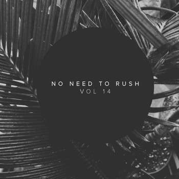 Various Artists - No Need To Rush, Vol.14