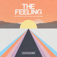 Riva Starr, Gavin Holligan - The Feeling (Honey Dijon Remix)