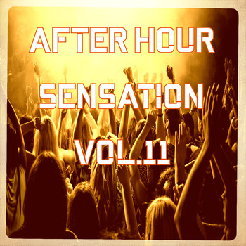Various Artists - After Hour Sensation, Vol.11 (BEST SELECTION OF CLUBBING HOUSE AND TECH HOUSE TRACKS)