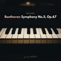 Jonas Schmidt - Beethoven: Symphony No.5, Op.67