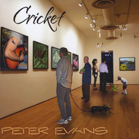 Peter Evans - Cricket