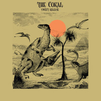 The Coral - Sweet Release