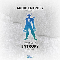 Entropy - Cyborg
