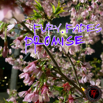 Fury Fades - Promise (Explicit)