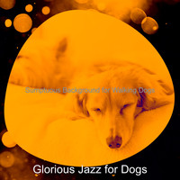 Glorious Jazz for Dogs - Sumptuous Background for Walking Dogs