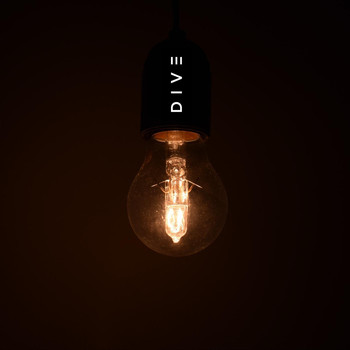 Dive - Midnight