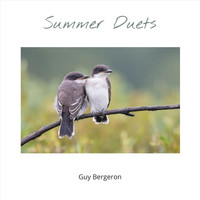 Guy Bergeron - Summer Duets