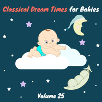 Chamber Armonie Orchestra - Classical Dream Times for Babies, Vol. 25