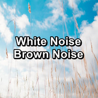 White Noise Pink Noise Brown Noise - White Noise Brown Noise