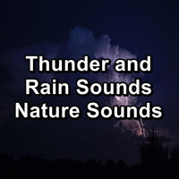 Deep Sleep Music Experience - Thunder and Rain Sounds Nature Sounds