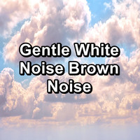 Fan Sounds - Gentle White Noise Brown Noise