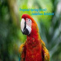 Jonathan Reichert - Tropical Spring (Live)