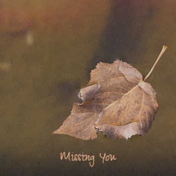 Various Artist - Missing You