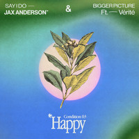 Jax Anderson and VÉRITÉ - HAPPY: Bigger Picture / Say I Do (Explicit)