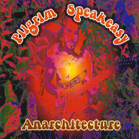Pilgrim Speakeasy - Anarchitecture