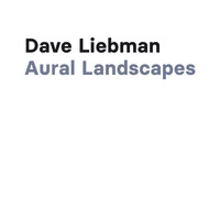 Dave Liebman - Aural Landscapes