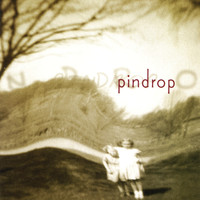 Pindrop - pin drop