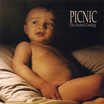 Picnic - The Second Coming