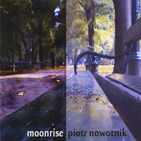 Piotr Nowotnik - Moonrise
