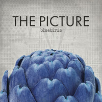 The Picture - Bluebirds