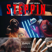 Rosay - STEPPIN (Explicit)