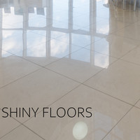 The Jackass-Penguin Show / - Shiny Floors
