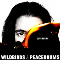 Wildbirds & Peacedrums - Love Is Fire