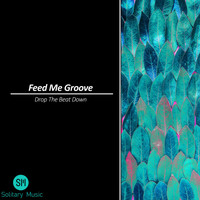 Feed Me Groove - Drop the Beat Down