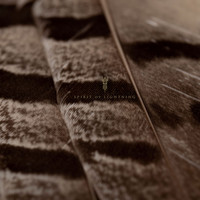 Wolves In The Throne Room - Spirit of Lightning