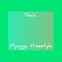 Tezla - Fly Nigga (Freestyle [Explicit])