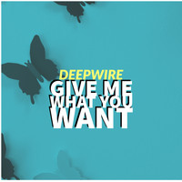 deepwire - Give Me What You Want
